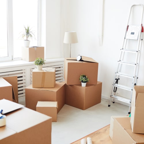 Move Out Cleaning